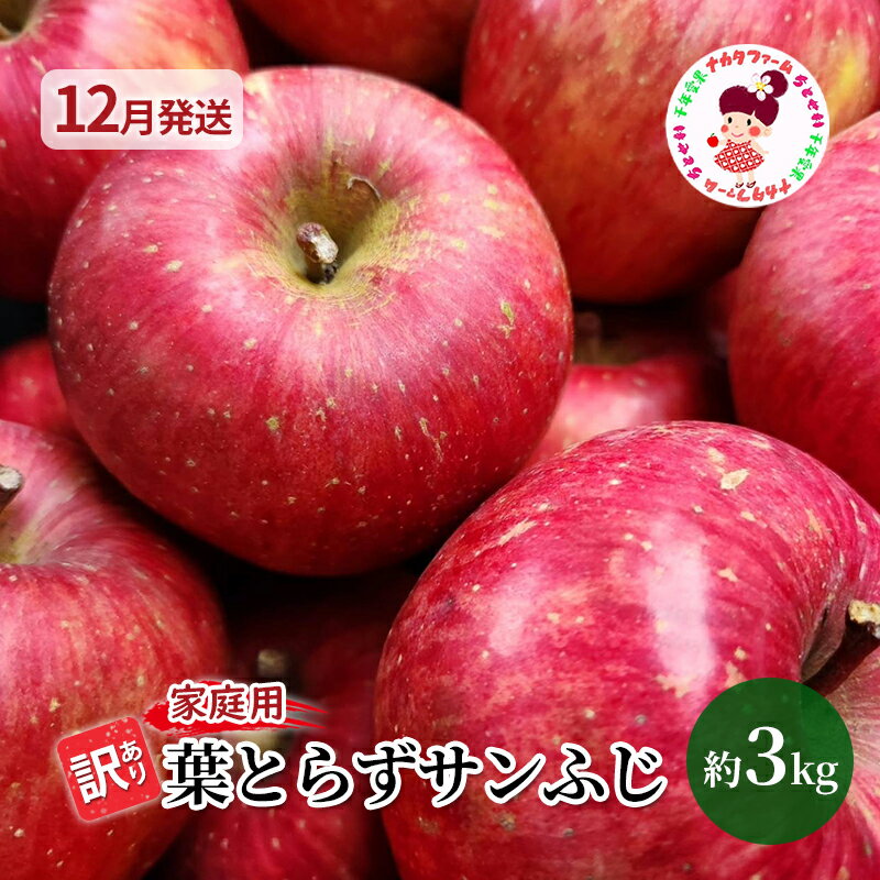 【ふるさと納税】【12月発送】訳あり 家庭用 ちとせ村 葉と