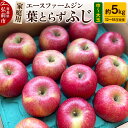 【ふるさと納税】りんご【先行受付】【数量限定】家庭用 葉とらず ふじ 約5kg(中玉~大玉12~18玉程度)