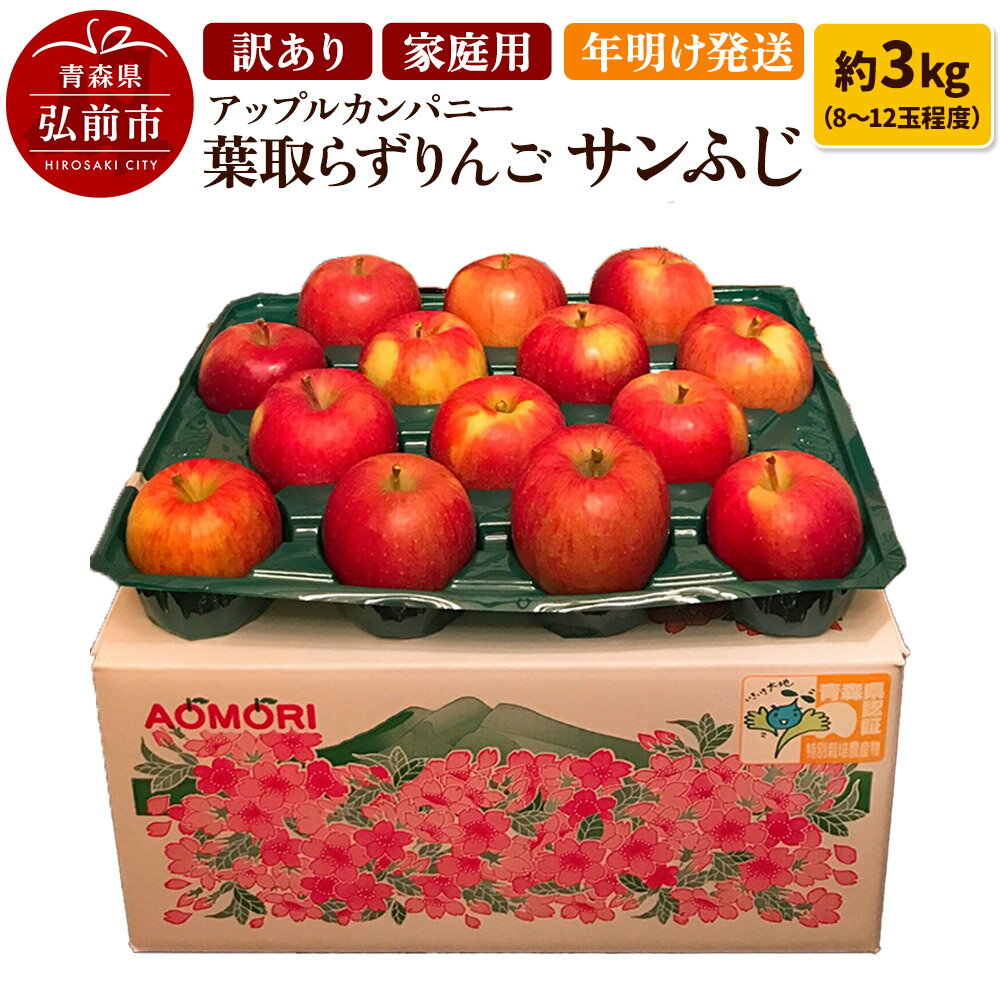 【ふるさと納税】りんご 訳あり家