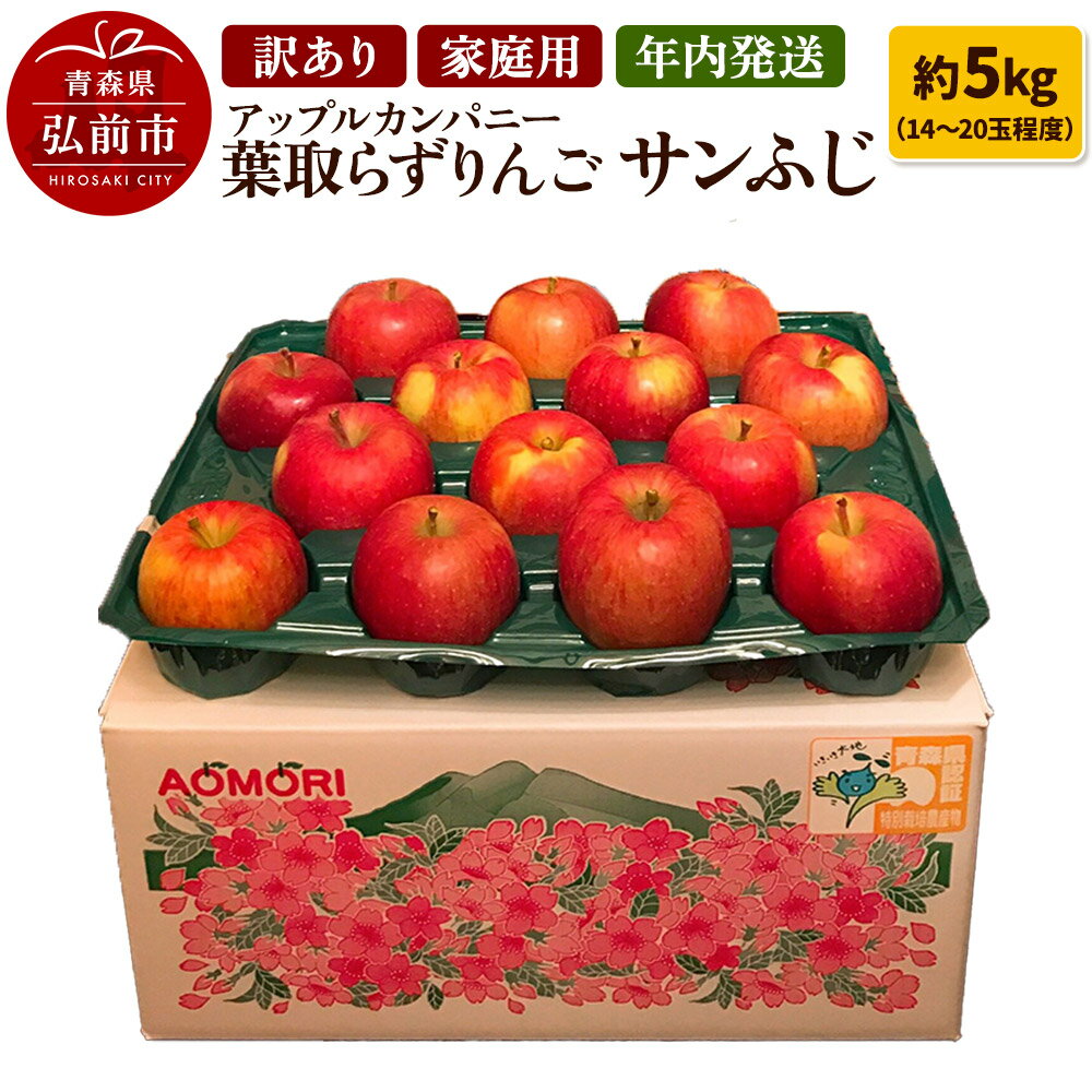 【ふるさと納税】【25年12月発送】りんご 訳あり家庭用【年内発送】葉取らず サンふじ 約5kg(14〜20玉程度)青森県特別栽培農産物認証農園