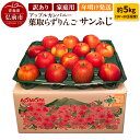 【ふるさと納税】りんご 訳あり家庭用【年明け発送】葉取らず サンふじ 約5kg(14~20玉程度)青森県特別栽培農産物認証農園