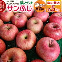 【ふるさと納税】【25年11月~発送】りんご 葉とらずサンふじ 約5kg 家庭用 訳あり ちとせ村