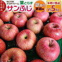 【ふるさと納税】【26年1月~発送】りんご 葉とらずサンふじ 約5kg 家庭用 訳あり ちとせ村