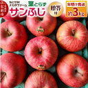 【ふるさと納税】【26年1月~発送】りんご 葉とらずサンふじ 約3kg 贈答用 ちとせ村