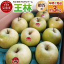 【ふるさと納税】【26年1月~発送】りんご 王林 約3kg 贈答用 ちとせ村