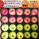 【ふるさと納税】【25年11月~発送】りんご 葉とらずサンふじ & 王林 詰め合わせ 約5kg 家庭用 訳あり ちとせ村
