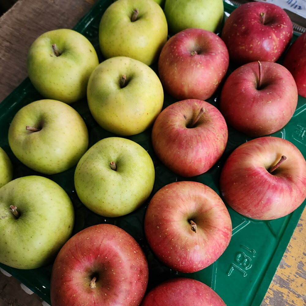 【ふるさと納税】 【26年1月〜発送】りんご 葉とらずサンふじ ＆ 王林 詰め合わせ 約5kg 家庭用 訳あり ちとせ村