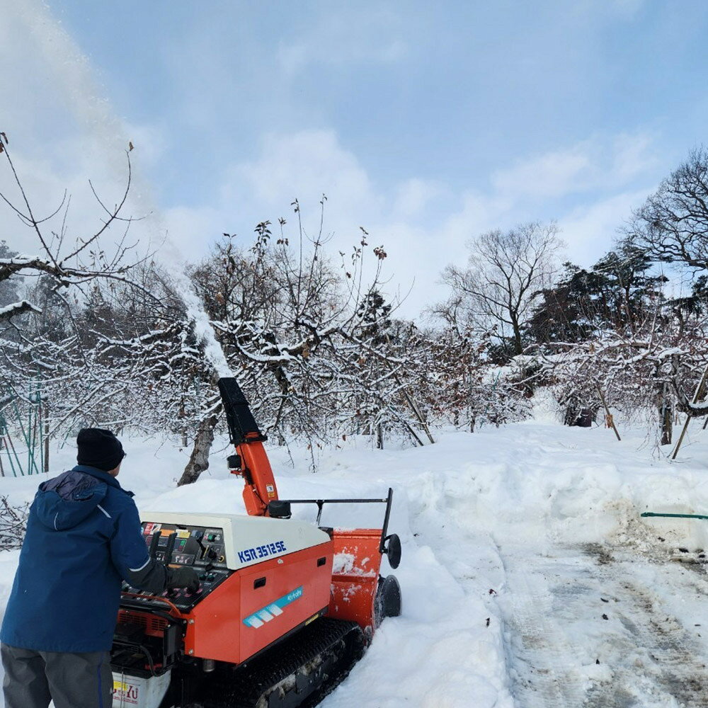 【ふるさと納税】【25年11月〜発送】りんご【家庭用】葉取らずサンふじ 約10kg