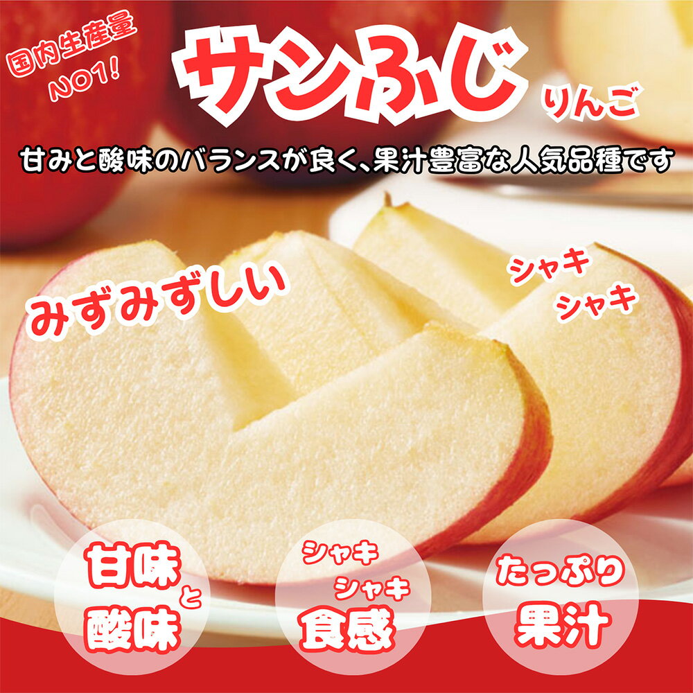 【ふるさと納税】りんご【訳あり ご家庭用】サンふじ【選べるキロ数：3kg 5kg 10kg】青森県産 青森 果物 フルーツ 林檎 リンゴ くだもの 弘前市