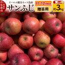 11位! 口コミ数「16件」評価「4.06」【11〜12月発送】りんご 贈答用 サンふじ 約3kg 糖度 13度以上【蜜入り】EMりんご