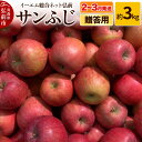 【ふるさと納税】【レビューキャンペーン】【26年2月〜発送】りんご 贈答用 サンふじ 約3kg 糖度 13度以上 EMりんご