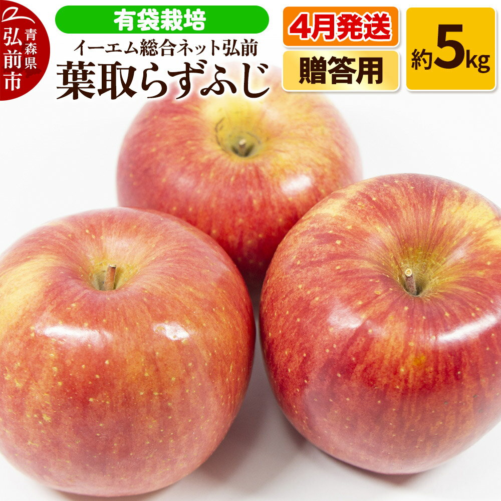 [4月発送]りんご 贈答用 葉取らず ふじ 約5kg(有袋栽培・CA貯蔵)EMりんご