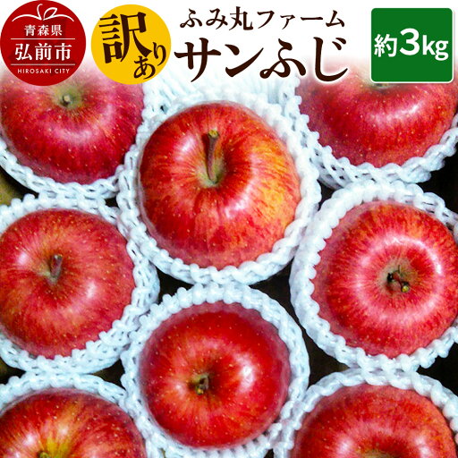 【ふるさと納税】りんご ふみ丸ファーム【訳あり】サンふじ 3kg 【ふるさと納税】りんご ふみ丸ファーム【訳あり】サンふじ 3kg