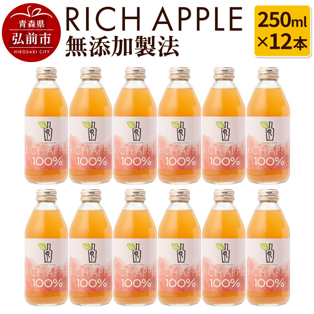 りんごジュース RICH APPLE 無添加製法 12本セット(250ml×12本)