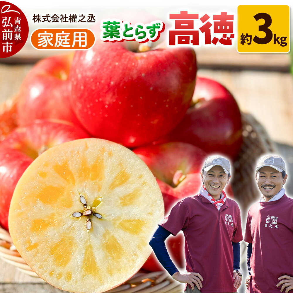 【ふるさと納税】【25年11月出荷】りんご 權之丞 葉とらずりんご 高徳 （こうとく） 家庭用 約3kg【弘前市産・青森りんご】のサムネイル