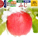 【ふるさと納税】りんご ふじ 約10kg(24玉~48玉程度)樹上完熟葉とらず【家庭用】厳選品 青森県産 りんご