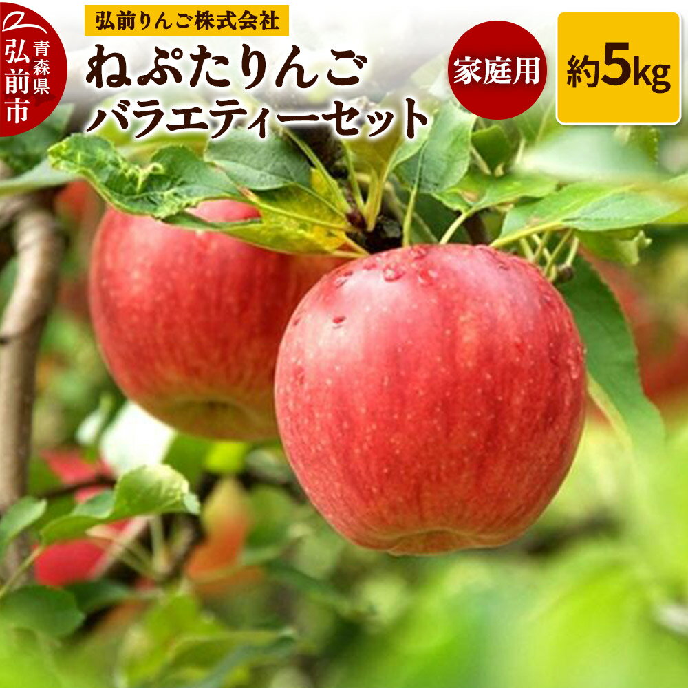 りんご ねぷたりんご バラエティーセット 家庭用 約5kg