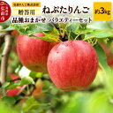 【ふるさと納税】りんご ねぷたりんご バラエティーセット 贈答用 約3kg 【品種おまかせ】