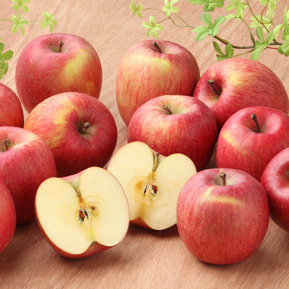 【ふるさと納税】【26年3月クール便発送】りんご 葉取らずサンふじ【良品】約10kg キタエアップル