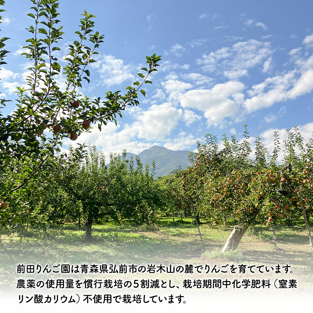 【ふるさと納税】【25年12月発送】りんご【訳あり】葉とらず サンふじ 約5kg 小玉 前田りんご園