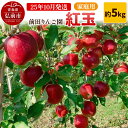 【ふるさと納税】【レビューキャンペーン】【25年10月発送】りんご【家庭用】紅玉 約5kg 前田りんご園