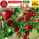 【ふるさと納税】【レビューキャンペーン】【25年10月発送】りんご【訳あり】紅玉 約5kg 前田りんご園