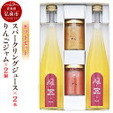 【ふるさと納税】 スパークリングりんごジュース 500ml×2本 &りんごジャム 150g×2個のギフトセット リンゴ 果汁 林檎 飲料 アップル 果物 フルー...