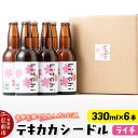 【ふるさと納税】未来を育てるりんごのお酒 テキカカシードル(ライチ) 330ml×6本 お酒 青森 弘前 林檎 リンゴ