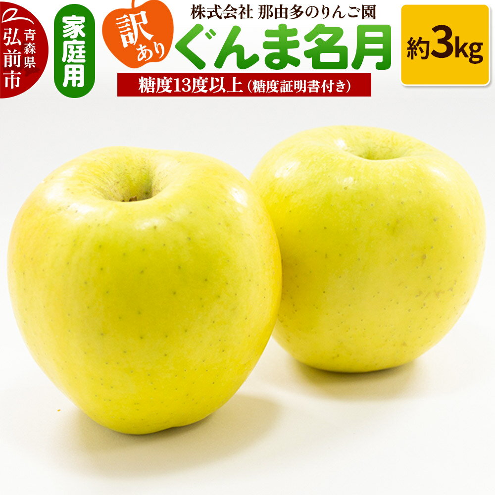 りんご[訳あり]家庭用 ぐんま名月 約3kg 糖度13度以上(糖度証明書付)