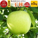 【ふるさと納税】【レビューキャンペーン】【25年12月発送】りんご 13度糖度保証【贈答用】王林 約5kg
