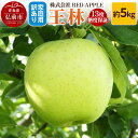 【ふるさと納税】りんご 13度糖度保証【訳あり】家庭用 王林 約5kg