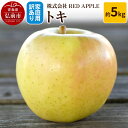 【ふるさと納税】りんご【訳あり】家庭用 トキ 約5kg