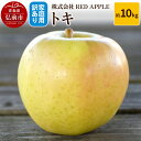 【ふるさと納税】りんご【訳あり】家庭用 トキ 約10kg