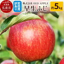 【ふるさと納税】りんご【訳あり】家庭用 早生ふじ 約5kg