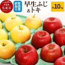 【ふるさと納税】りんご【訳あり】家庭用 早生ふじ&トキ 約10kg