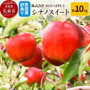 【ふるさと納税】りんご【訳あり】家庭用 シナノスイート 約10kg