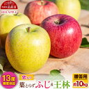 【ふるさと納税】【レビューキャンペーン】【25年12月発送】りんご 13度糖度保証【贈答用】蜜入り 葉とらずふじ&王林 約10kg