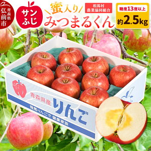 【ふるさと納税】りんご 蜜入り サンふじ(みつまるくん)約 2.5kg 糖度13度以上