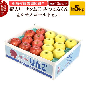 【ふるさと納税】りんご 蜜入り サンふじ(みつまるくん)&シナノゴールド セット 約 5kg