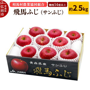 【ふるさと納税】りんご 糖度14度以上 「 飛馬ふじ 」(サンふじ)約 2.5kg
