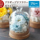 【ふるさと納税】プリザーブドフラワー ガラスドーム【ブルー】約11.5cm×約7.5cm 1個