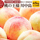 【ふるさと納税】もも【2025年産 桃の王様 川中島】家庭用 約5kg 14~22玉程度 ASIAGAP認証農場 津軽農園 採れたて 農家直送