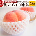 【ふるさと納税】もも【2025年産 桃の王様 川中島】特秀 約5kg 14~22玉程度 ASIAGAP認証農場 津軽農園 採れたて 農家直送