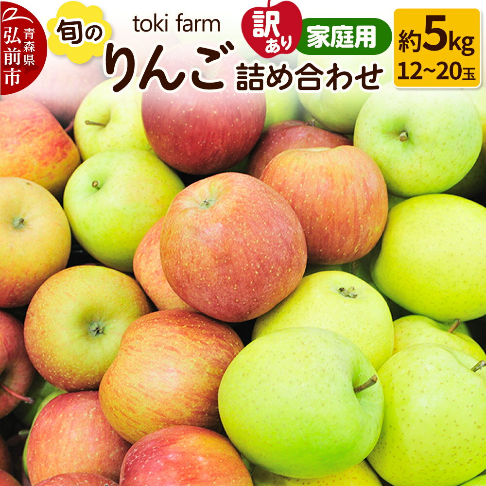 りんご 旬のりんご詰め合わせ 約5kg(12〜20玉程度)[訳あり]家庭用 toki farm