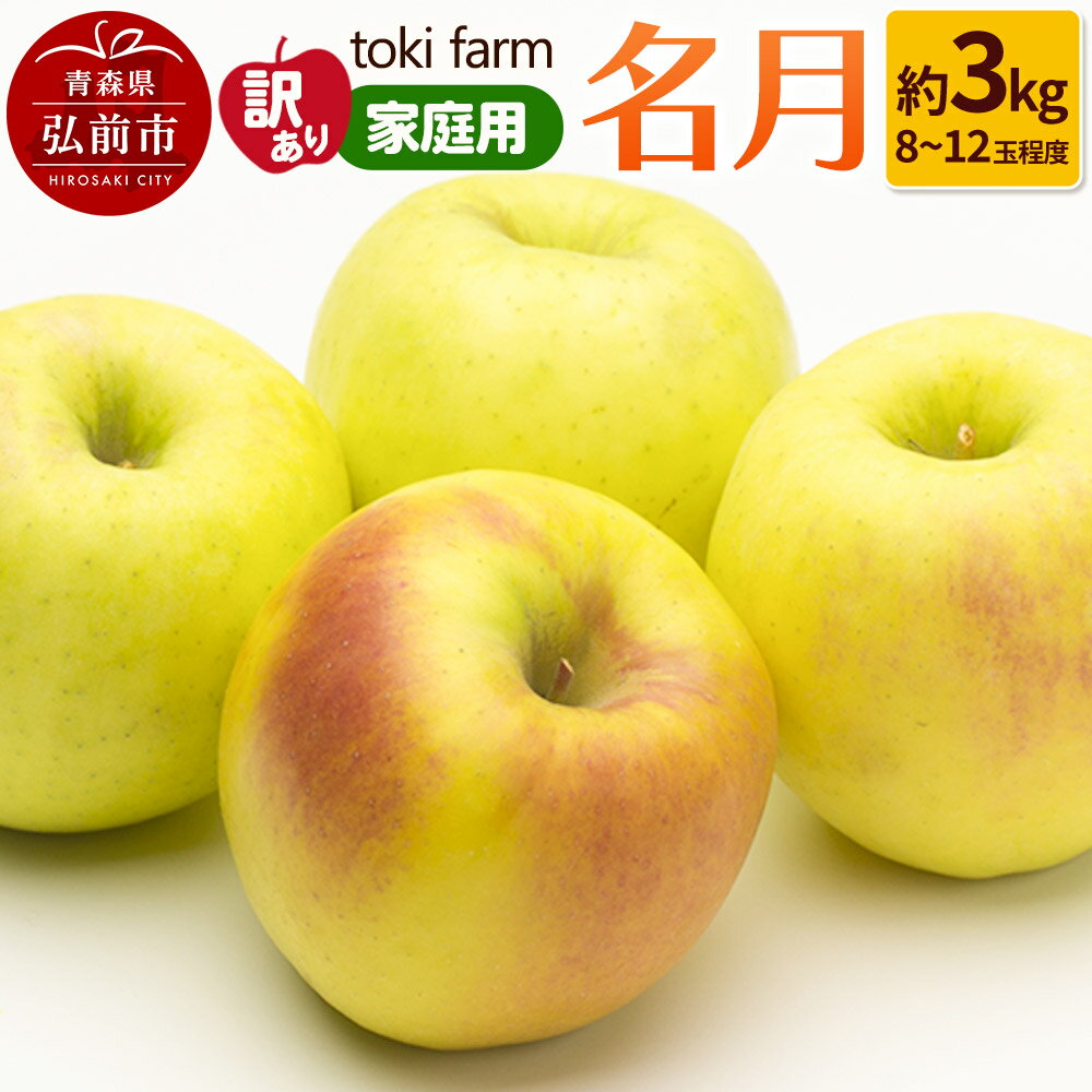 りんご[10月クール便発送]名月 約3kg(8〜12玉程度)[訳あり]家庭用 toki farm
