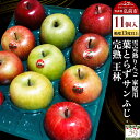 【ふるさと納税】 【26年1月~発送】りんご 【 数量限定 】雪完熟りんご 糖度13度以上 家庭用 葉とらずサンふじ ・ 完熟 王林 11個入り