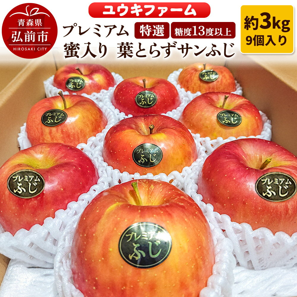 りんご [ 数量限定 ]糖度13度以上 「特選」 プレミアム 蜜入り 葉とらずサンふじ 約 3kg 9個入り