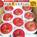 【ふるさと納税】 【25年12月発送】りんご 【 数量限定 】訳あり 雪完熟 家庭用 蜜入り 糖度13度以上 大玉 サンふじ 約3kg 9個入り