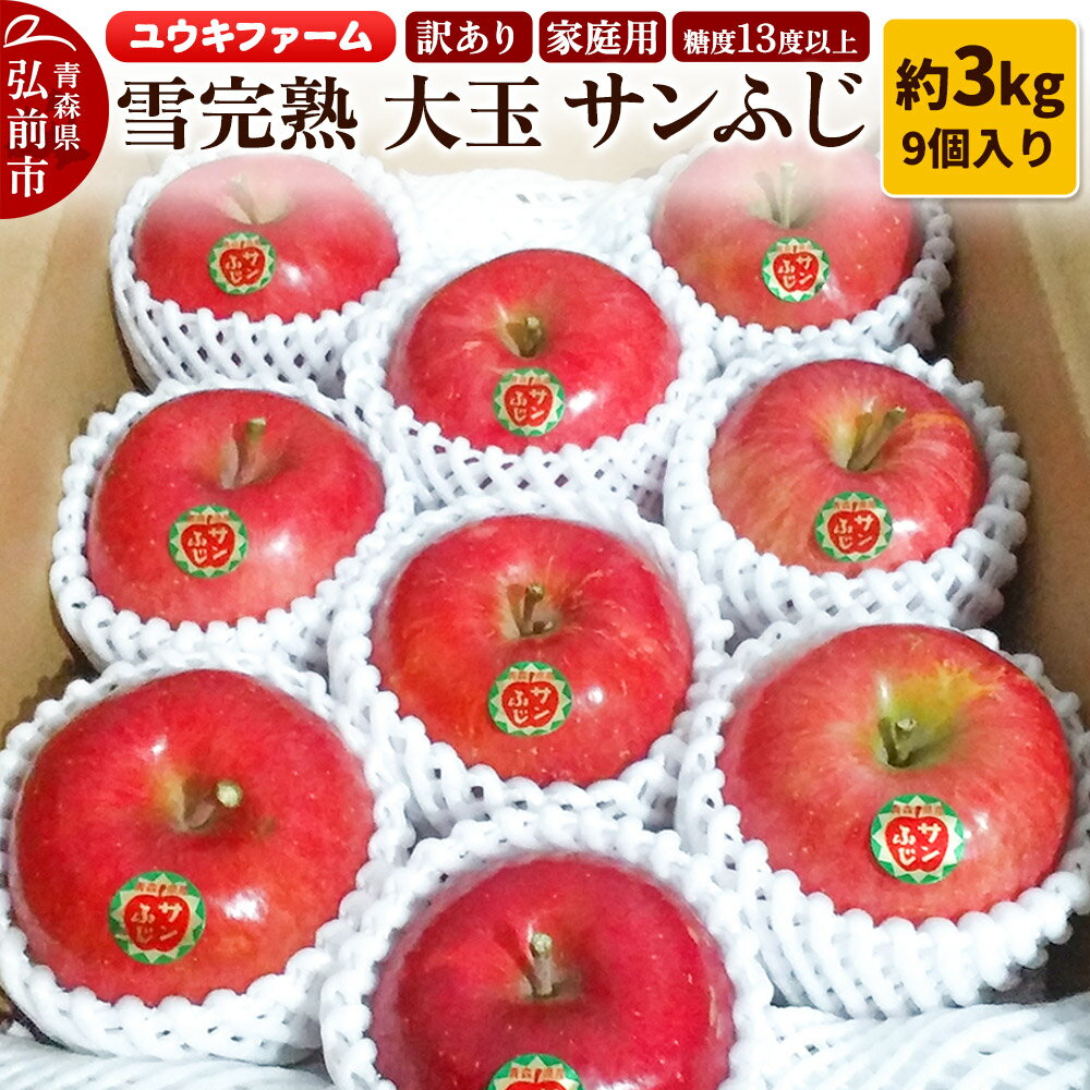 【ふるさと納税】りんご 【 数量限定 】訳あり 雪完熟 家庭用 糖度13度以上 大玉 サンふじ 約3kg 9個入り