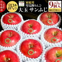 【ふるさと納税】 【26年1月〜発送】りんご 【 数量限定 】訳あり 雪完熟 家庭用 糖度13度以上 大玉 サンふじ 約3kg 9個入り